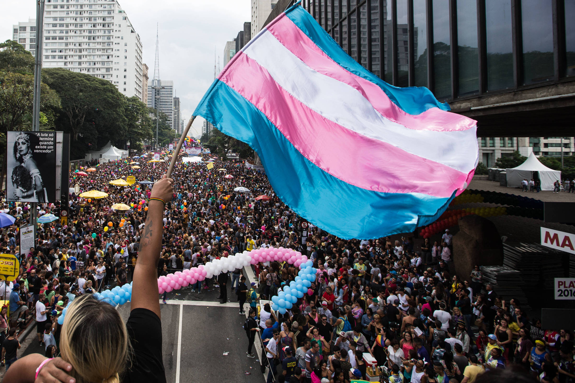 Bandeira do movimento Trans na Parada do Orgulho LGBT de SP de 2016. (Foto: Diego Padgurschi)